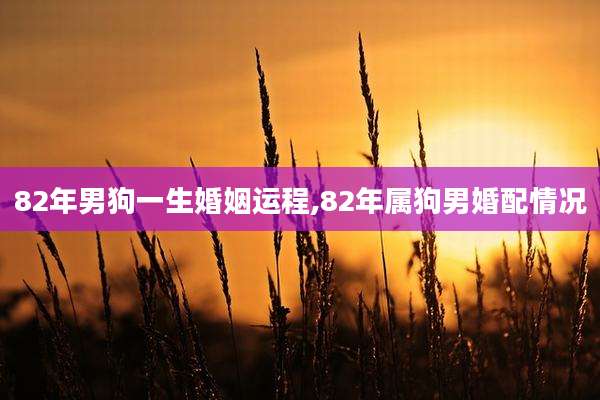 82年男狗一生婚姻运程,82年属狗男婚配情况