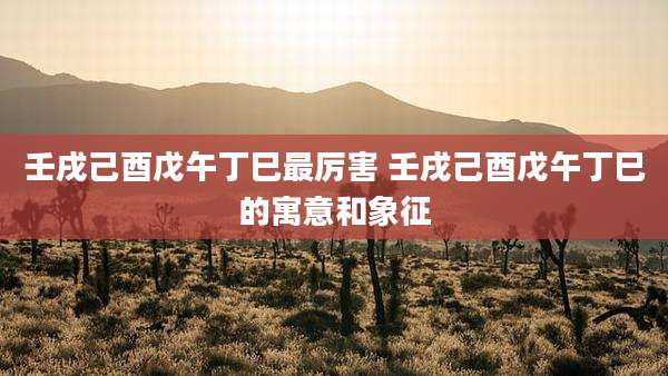 壬戌己酉戊午丁巳最厉害 壬戌己酉戊午丁巳的寓意和象征