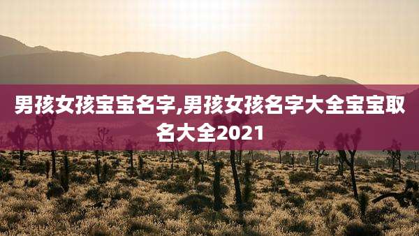 男孩女孩宝宝名字,男孩女孩名字大全宝宝取名大全2021
