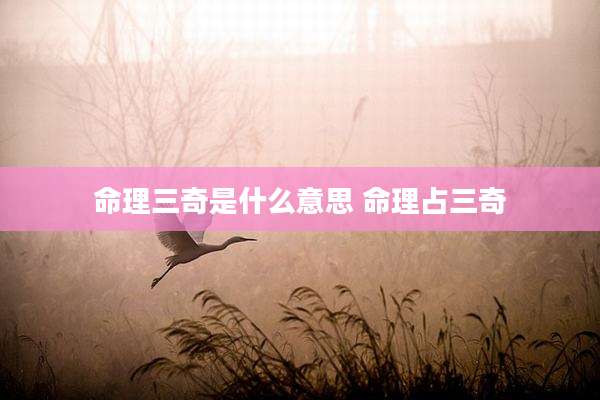 命理三奇是什么意思 命理占三奇