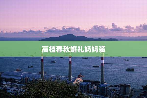 高档春秋婚礼妈妈装