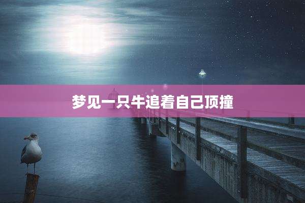 梦见一只牛追着自己顶撞