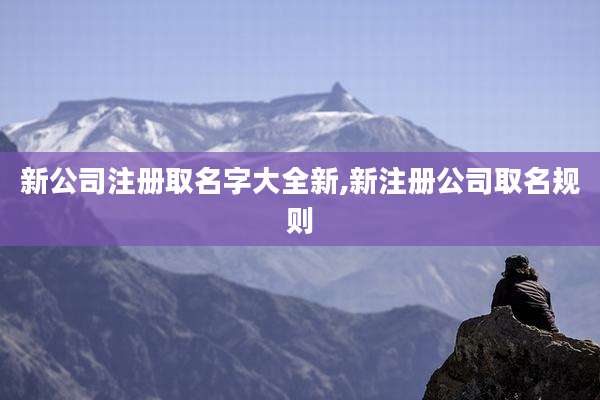 新公司注册取名字大全新,新注册公司取名规则