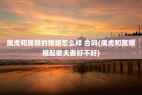 属虎和属猴的婚姻怎么样 合吗(属虎和属猴相配做夫妻好不好)