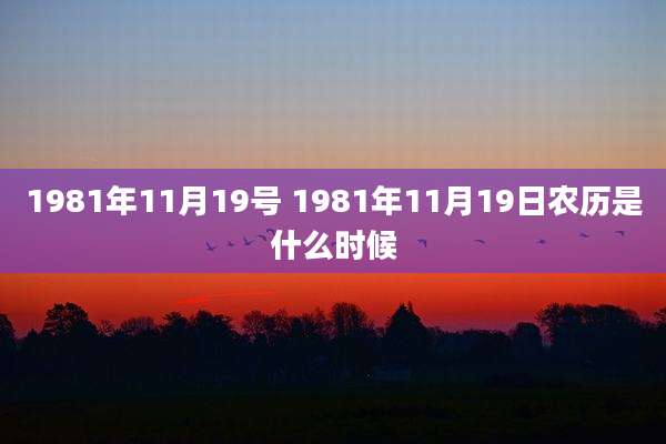 1981年11月19号 1981年11月19日农历是什么时候
