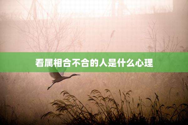 看属相合不合的人是什么心理