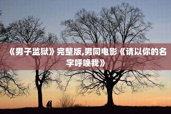《男子监狱》完整版,男同电影《请以你的名字呼唤我》