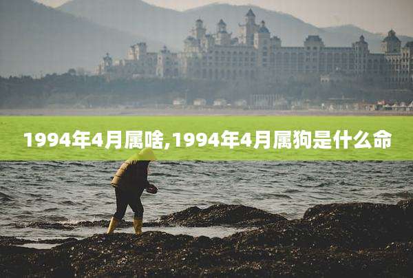 1994年4月属啥,1994年4月属狗是什么命