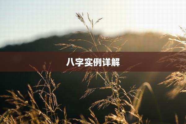 八字实例详解