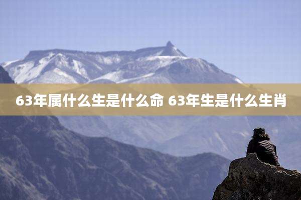 63年属什么生是什么命 63年生是什么生肖