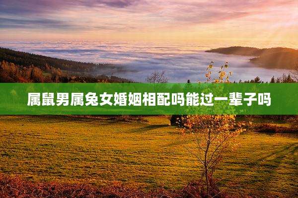 属鼠男属兔女婚姻相配吗能过一辈子吗