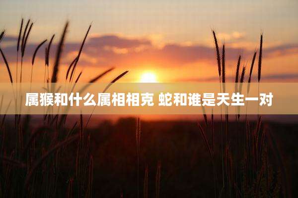 属猴和什么属相相克 蛇和谁是天生一对