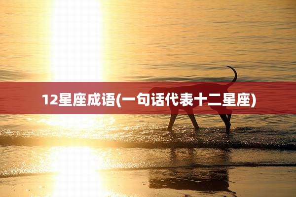 12星座成语(一句话代表十二星座)