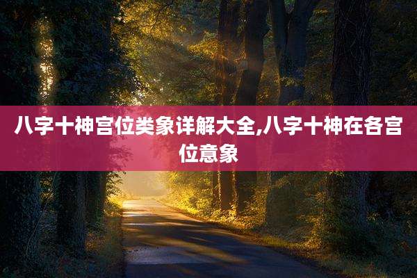 八字十神宫位类象详解大全,八字十神在各宫位意象