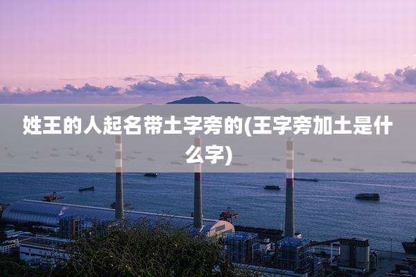 姓王的人起名带土字旁的(王字旁加土是什么字)