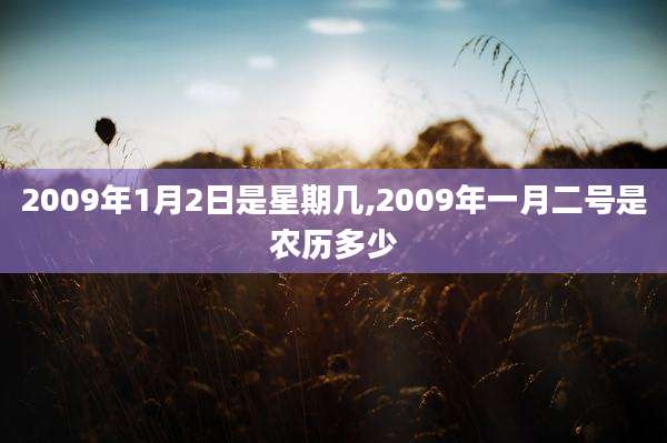 2009年1月2日是星期几,2009年一月二号是农历多少
