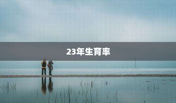 23年生育率