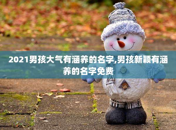 2021男孩大气有涵养的名字,男孩新颖有涵养的名字免费