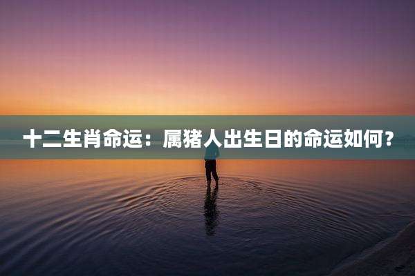 十二生肖命运:属猪人出生日的命运如何?