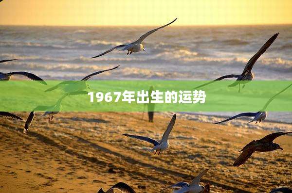 1967年出生的运势
