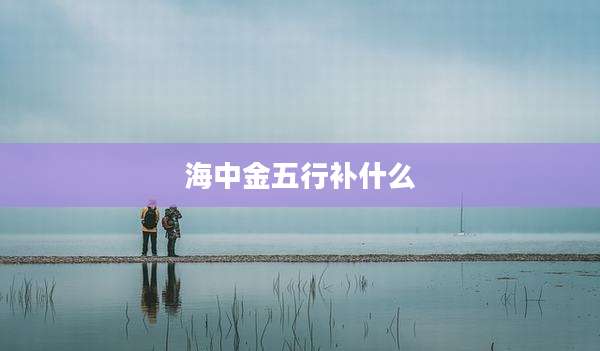 海中金五行补什么