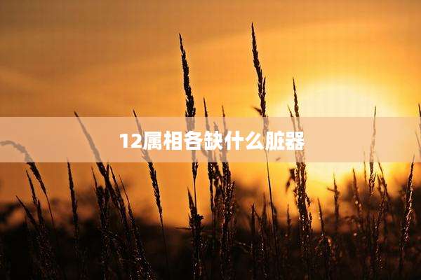 12属相各缺什么脏器