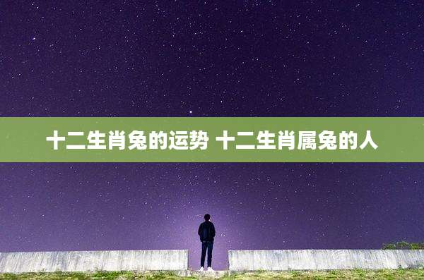 十二生肖兔的运势 十二生肖属兔的人