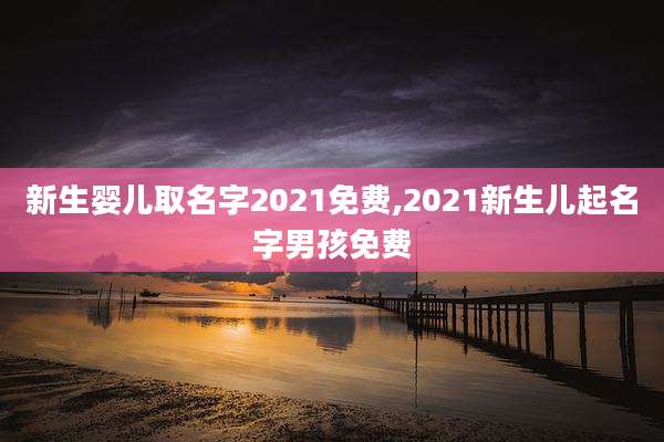 新生婴儿取名字2021免费,2021新生儿起名字男孩免费