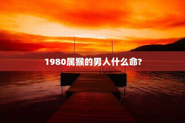 1980属猴的男人什么命?