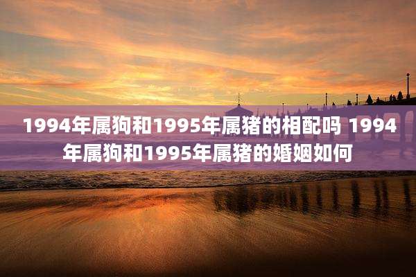 1994年属狗和1995年属猪的相配吗 1994年属狗和1995年属猪的婚姻如何