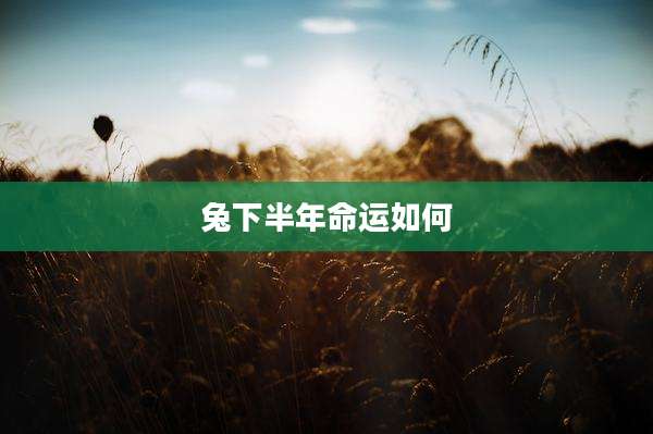 兔下半年命运如何