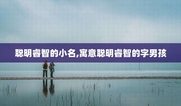 聪明睿智的小名,寓意聪明睿智的字男孩