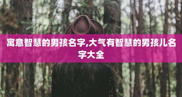 寓意智慧的男孩名字,大气有智慧的男孩儿名字大全