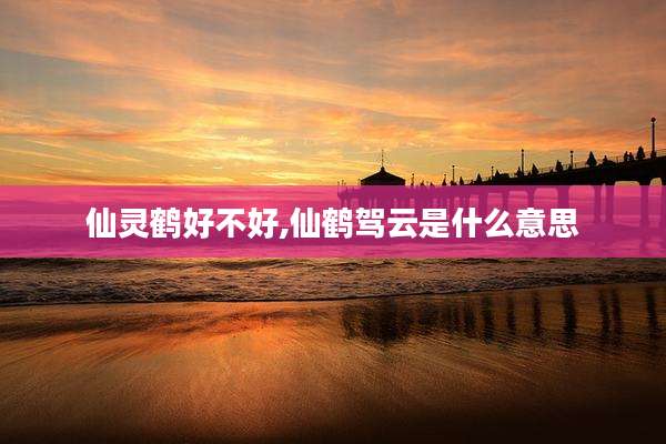仙灵鹤好不好,仙鹤驾云是什么意思
