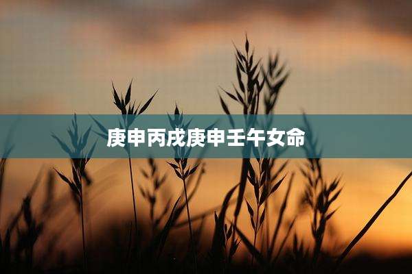 庚申丙戌庚申壬午女命