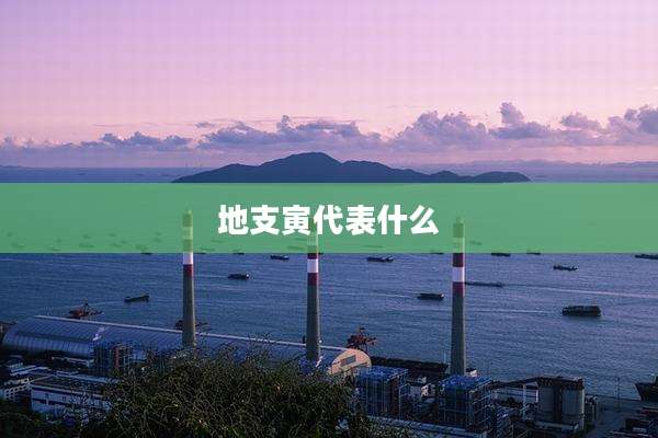 地支寅代表什么