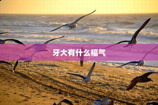 牙大有什么福气