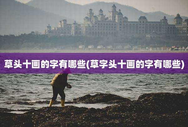 草头十画的字有哪些(草字头十画的字有哪些)