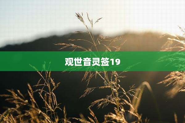 观世音灵签19