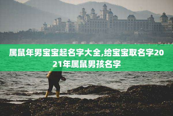 属鼠年男宝宝起名字大全,给宝宝取名字2021年属鼠男孩名字
