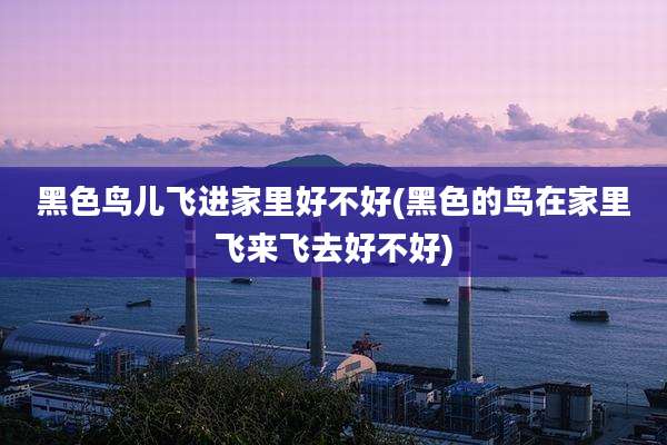 黑色鸟儿飞进家里好不好(黑色的鸟在家里飞来飞去好不好)
