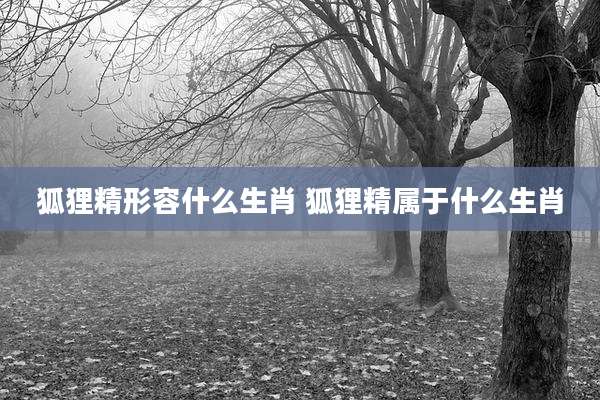 狐狸精形容什么生肖 狐狸精属于什么生肖