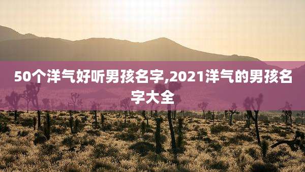 50个洋气好听男孩名字,2021洋气的男孩名字大全