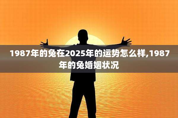 1987年的兔在2025年的运势怎么样,1987年的兔婚姻状况