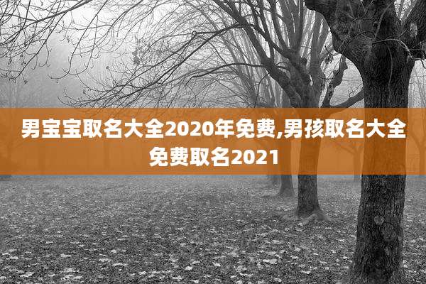 男宝宝取名大全2020年免费,男孩取名大全免费取名2021