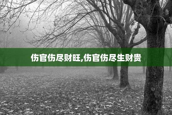 伤官伤尽财旺,伤官伤尽生财贵