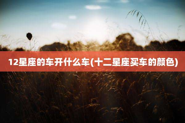 12星座的车开什么车(十二星座买车的颜色)