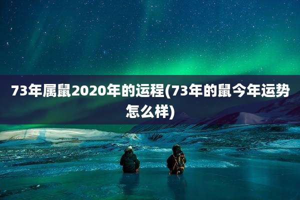 73年属鼠2020年的运程(73年的鼠今年运势怎么样)