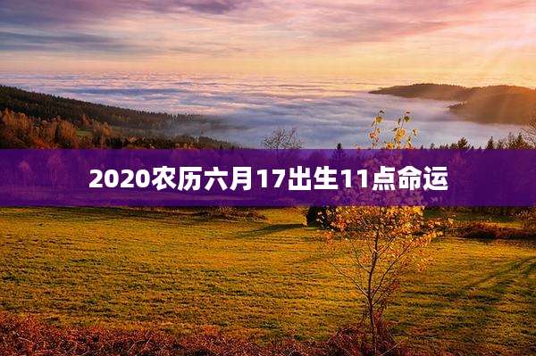 2020农历六月17出生11点命运