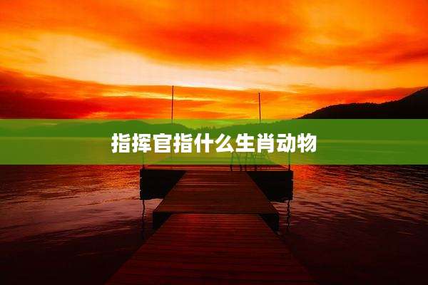 指挥官指什么生肖动物